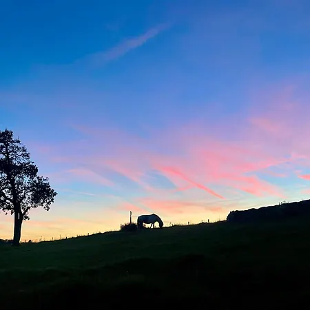Auszeit Altenhorst, Gartenferienwohnung *