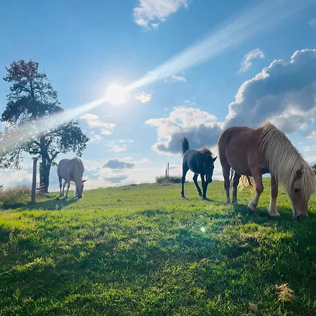 Auszeit Altenhorst, Gartenferienwohnung Apartamento