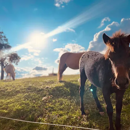 Auszeit Altenhorst, Gartenferienwohnung Apartamento Schalksmuhle