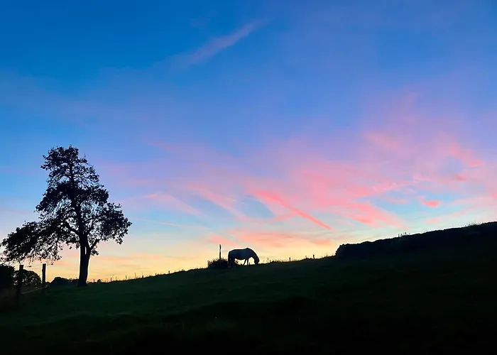 Auszeit Altenhorst, Gartenferienwohnung *