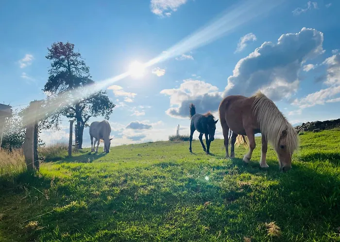 Auszeit Altenhorst, Gartenferienwohnung Appartement