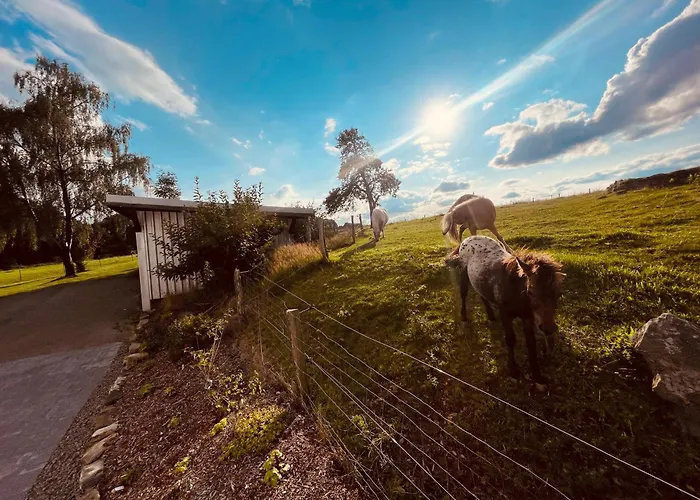 Auszeit Altenhorst, Gartenferienwohnung Apartamento