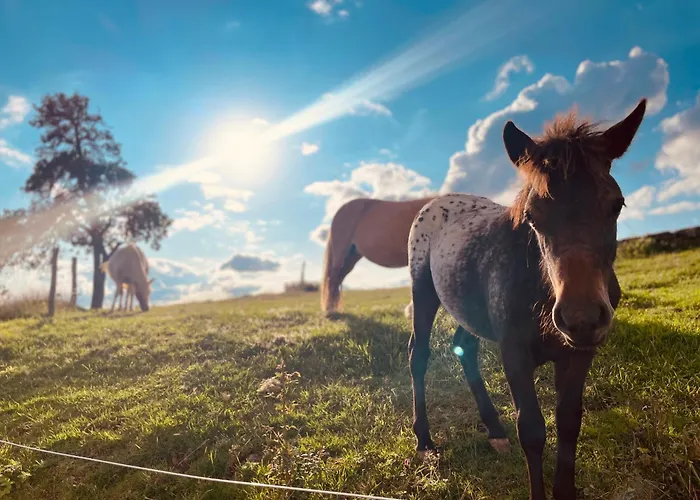 Auszeit Altenhorst, Gartenferienwohnung Apartamento Schalksmuhle